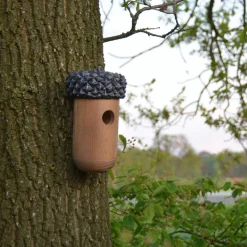 Best For Birds Nestkast Eikel - Broeden - 13.9x13.9x25.3 cm