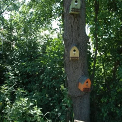 Best For Birds Nestkast Huisje - Broeden - Assorti