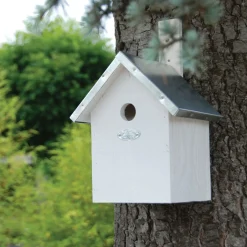 Best For Birds Nestkast Pimpelmees - Broeden - 18x19.2x31.2 cm Wit