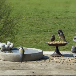 Best For Birds Vogelbad Beton - Drinkbak - Ø29x8.8 cm 5.15 kg Grijs