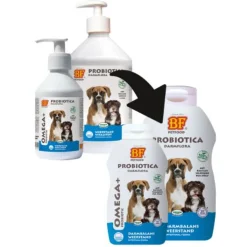 Bf Probiotica - Voedingssupplement - Darmen