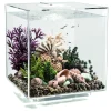 Biorb Aquarium Cube 30 Mcr - Aquaria - 30 l Transparant