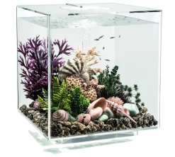 Biorb Aquarium Cube 30 Mcr - Aquaria - 30 l Transparant