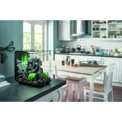 Biorb Aquarium Flow 15 Mcr - Aquaria - 15 l Zwart