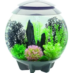 Biorb Aquarium Halo 30 Mcr - Aquaria - 30 l Grijs