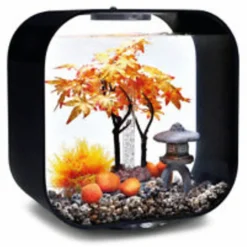 Biorb Decor Set Herfst - Aquarium - Ornament - Oranje Oker Lichtbruin