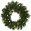Black Box Trees Glendon Kerstkrans Met Verlichting - Kunstgroen - Ø45 cm Groen 20 led