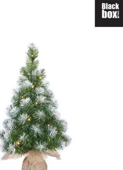 Black Box Trees Norton Kerstboom Frosted Groen - Kunstgroen