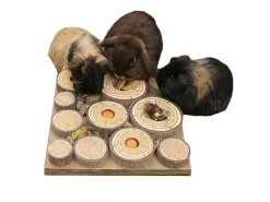 Boredom Breaker Knaagdier Doolhof - Speelgoed - 30x30 cm