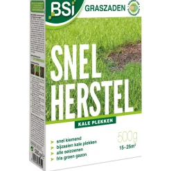 Bsi Graszaad Herstel - Graszaden - 500 g 15-25 M2