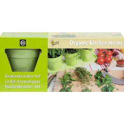 Buzzy Bio Keukenkruiden Set Groen - Kweeksets - per stuk