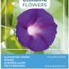 Buzzy Climbing Flowers - Ipomoea Knowlians Black - Bloemenzaden - 2 g