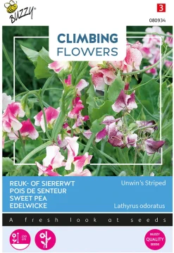Buzzy Climbing Flowers - Lathyrus Unwin's Striped - Bloemenzaden - 4 g