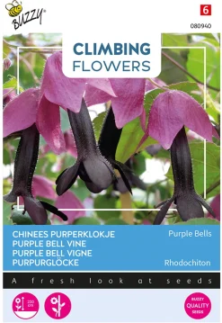 Buzzy Climbing Flowers - Rhodochiton - Purple Bells - Bloemenzaden - 10 stuks