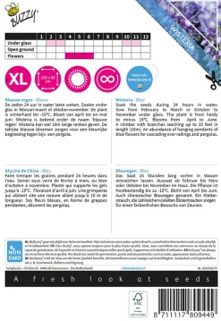 Buzzy Climbing Flowers - Wisteria - Blauwe Regen - Bloemenzaden - 5 stuks