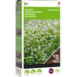 Buzzy Groenbemester Boekweit - Groenbemester - 150 g