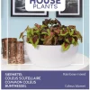 Buzzy House Plants Coleus - Siernetel Rainbow Mix - Bloemenzaden - 250 mg