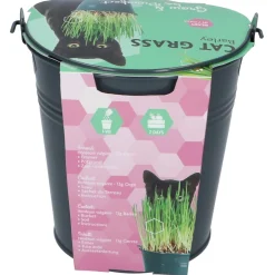 Buzzy Kattengras Emmertje (9) - Kweeksets - per stuk