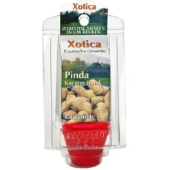 Buzzy Kweekkasje Pinda - Kweeksets - per stuk