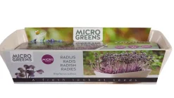 Buzzy Microgreens Micro Garden - Daikon Radijs - Groentezaden - per stuk