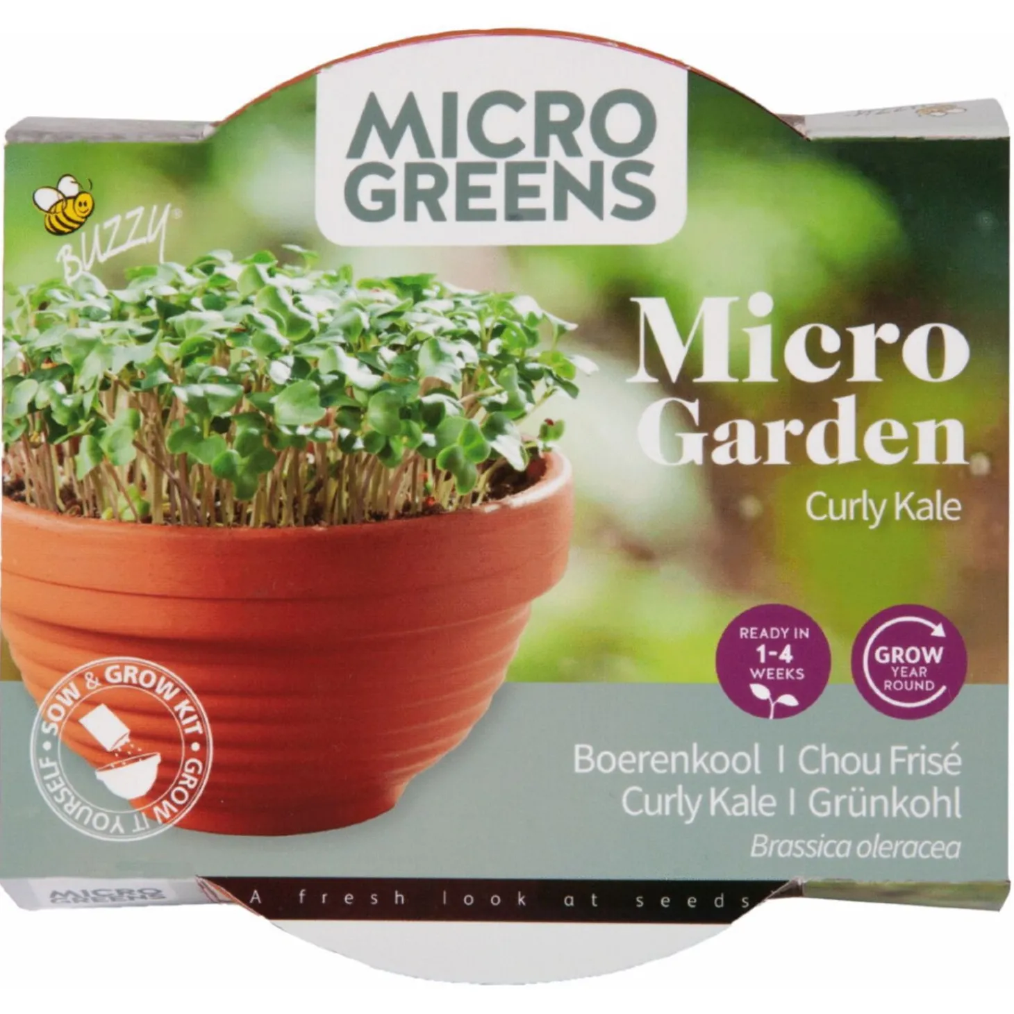 Buzzy Microgreens Terracotta Schaal Boerenkool - Groentezaden - 1.5 g