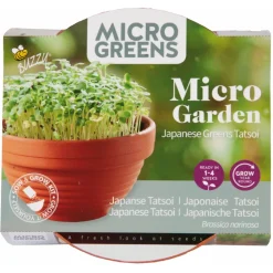 Buzzy Microgreens Terracotta Schaal Tatsoi - Groentezaden - 1.5 g