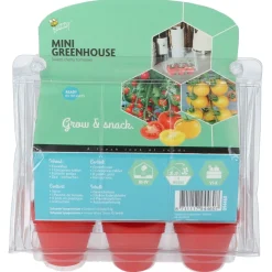 Buzzy Mini Greenhouse Sweet Cherry Tomatoes - Groentezaden - per stuk