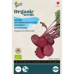 Buzzy Organic Bieten Egyptische Platronde - Bio - Groentezaden - 1.5 g