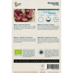 Buzzy Organic Bieten Egyptische Platronde - Bio - Groentezaden - 1.5 g