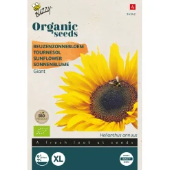 Buzzy Organic Helianthus - Reuzenzonnebloem Giganteus  - Bio - Bloemenzaden - 3 g