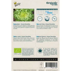 Buzzy Organic Krulandijvie Grosse Pancalière  - Bio - Groentezaden - 1 g