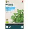 Buzzy Organic Peterselie Gigante D'Italia  - Bio - Groentezaden - 2 g