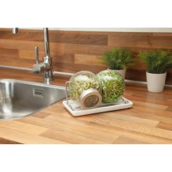 Buzzy Organic Sprouting Duo Pot Met Schaal Bio - Groentezaden - per stuk