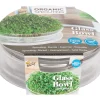 Buzzy Organic Sprouting Glazen Bowl Met Rucola  Bio - Groentezaden - per stuk