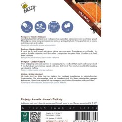 Buzzy Ornamental - Pompoen Golden Hubbard - Groentezaden - 2.5 g
