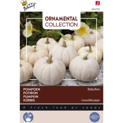Buzzy Ornamental - Pompoen Baby Boo - Groentezaden - 1 g