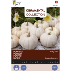 Buzzy Ornamental - Pompoen Baby Boo - Groentezaden - 1 g