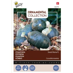 Buzzy Ornamental - Pompoen Sweet Mama F1 - Groentezaden - 8 stuks