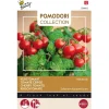 Buzzy Pomodori - Kerstomaat Minuscolo - Groentezaden - 10 stuks