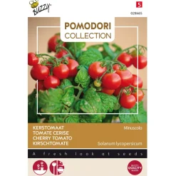 Buzzy Pomodori - Kerstomaat Minuscolo - Groentezaden - 10 stuks