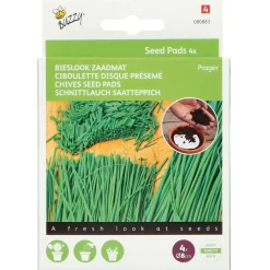 Buzzy Seedpads Bieslook Prager 4x 8cm - Kruidenzaden -