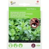 Buzzy Seedpads Kruizemunt 4x 8cm - Kruidenzaden -