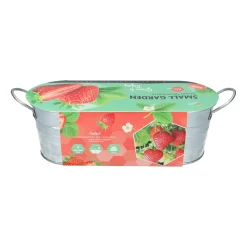 Buzzy Small Garden Sweet Strawberry - Kweeksets - per stuk