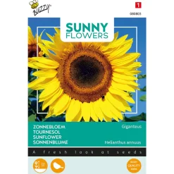 Buzzy Sunny Flowers - Reuzenzonnebloem Giganteus - Bloemenzaden - 5 g