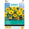Buzzy Sunny Flowers - Zonnebloem Pacino - Bloemenzaden - 750 mg
