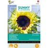 Buzzy Sunny Flowers - Zonnebloem Moonwalker - Bloemenzaden - 2.5 g