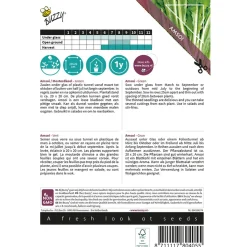 Buzzy Xotica Groene Amsoi Of Mosterdkool - Exotische zaden - 3 g