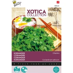 Buzzy Xotica Koriander Cilantro - Exotische zaden - 10 g