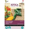Buzzy Xotica Mexicaanse Peper Jalapeño M - Exotische zaden - 2.5 g