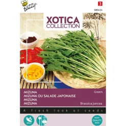 Buzzy Xotica Mizuna - Japanse Salade - Exotische zaden - 10 g